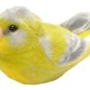Wild Republic Grünfink Plüsch Mit Echter Vogelstimme -SPIELWAREN Verkaufsgeschäft wild republic 19488 grnfink vogelstimme